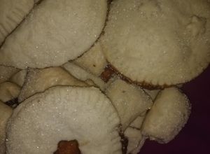 Una foto de Masa con cerveza para empanadas, tartas o pay