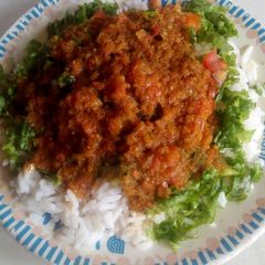 A picture of Rice nd steaw with salad.
