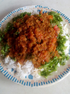 A picture of Rice nd steaw with salad.