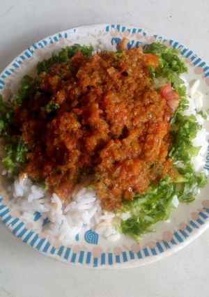 A picture of Rice nd steaw with salad.
