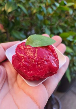 Une photo de Sorbet framboise
