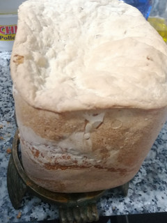 Foto principal de Pan blanco con mango deshidratado y pasas panificadora