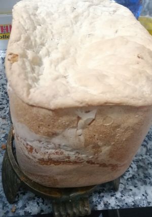 Una foto de Pan blanco con mango deshidratado y pasas panificadora