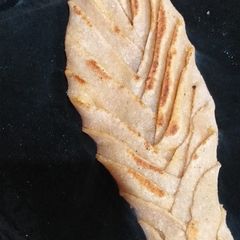 A picture of Punjabi Achari masti paratha (Fish shaped).