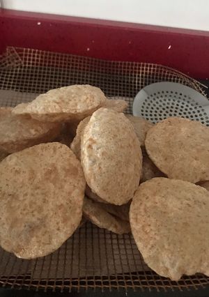 A picture of Plain Puri.