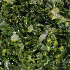 A picture of Sukuma wiki fried.