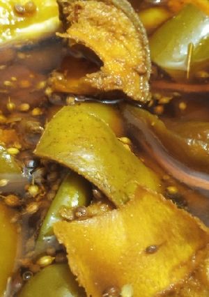 A picture of Mango mix achar.