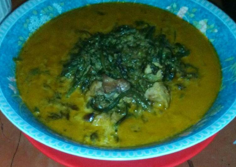 Resep Gulai pakis medan mantap yang Lezat Sekali