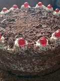 Selva negra