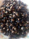 Mini siput laut goreng gurih sexy