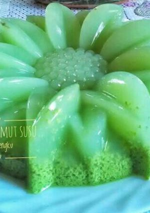 Foto resep Puding lumut Susu