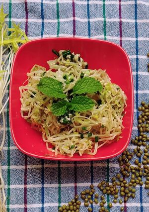 हेल्दी मुग बिन स्प्राऊट साईड डिश (moong bean sprout recipe in marathi) रेसिपी चे मुख्य फोटो 