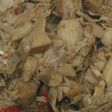 Tumis Nangka Muda / Tewel
