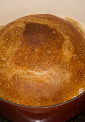 A picture of No knead bread.