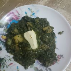 ALU Palak A picture of ALU Palak.