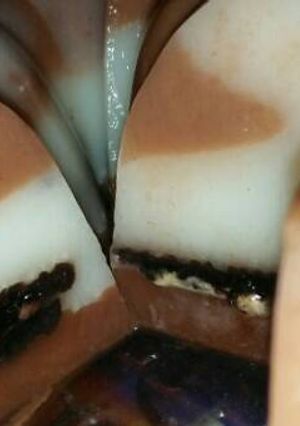 Foto resep Puding milo oreo