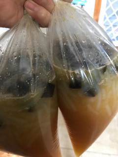 Foto resep Es cendol cincau seger