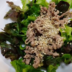 A picture of Beef Sliced Salad With Sesame Oil Dressing.
