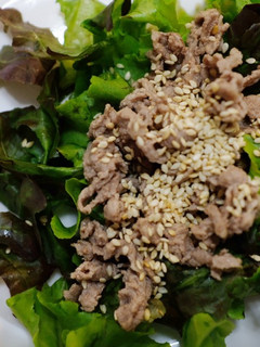 A picture of Beef Sliced Salad With Sesame Oil Dressing.