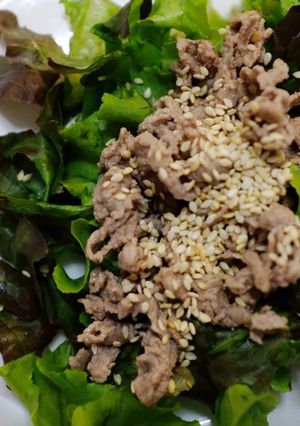 A picture of Beef Sliced Salad With Sesame Oil Dressing.