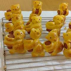 A picture of Roti Teddy bear karater.