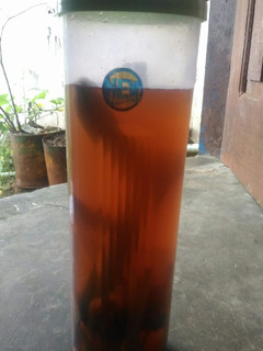 Foto resep Minuman diet pengurang nafsu makan