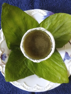 પાન શરબત (Paan Sharbat Recipe In Gujarati) રેસીપી મુખ્ય ફોટો