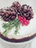 Cheesecake invernale