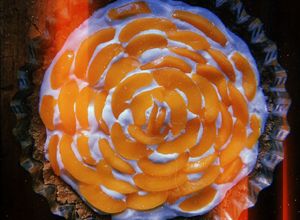 Una foto de Tarta dulce sin horno