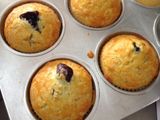 blueberry muffin
