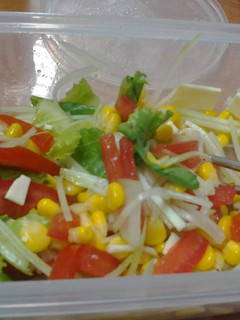 Foto resep Salad sayur simple