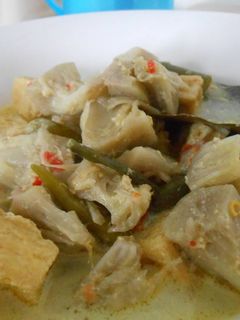 Foto resep LODEH NANGKA MUDA