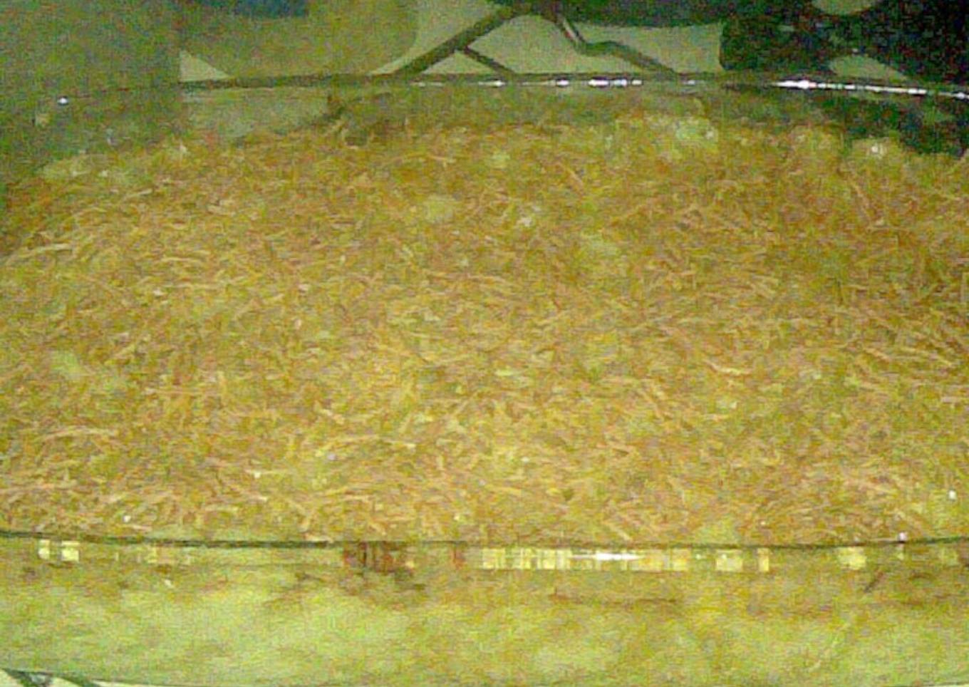Baked Macaroni & Cheese