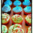 Vanilla Cupcakes