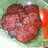 Tempe Bacem Gampil
