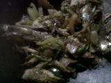 Tumis Ikan Hijau