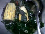 JAGUNG BABE (Jagung Bayam Bening)