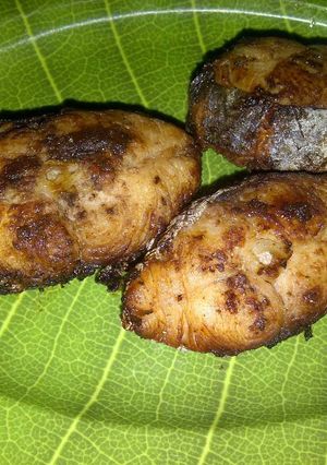 Foto resep BACEM IKAN GINDARA