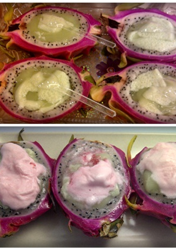 Foto resep PUDING MANGKUK BUAH NAGA