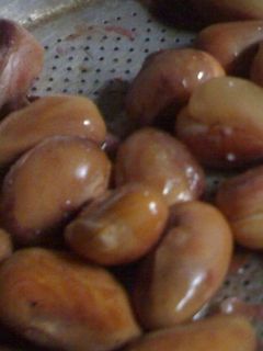 Foto resep Beton (Biji nangka) Rebus
