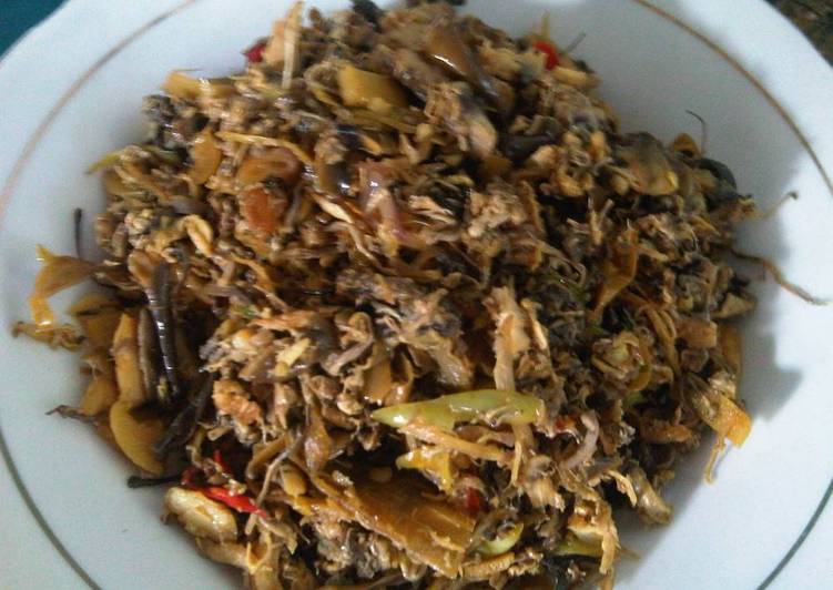 JANTUNG PANTURA Ala Nisa