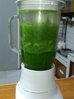 Foto resep Jus Pakchoy dan Apel