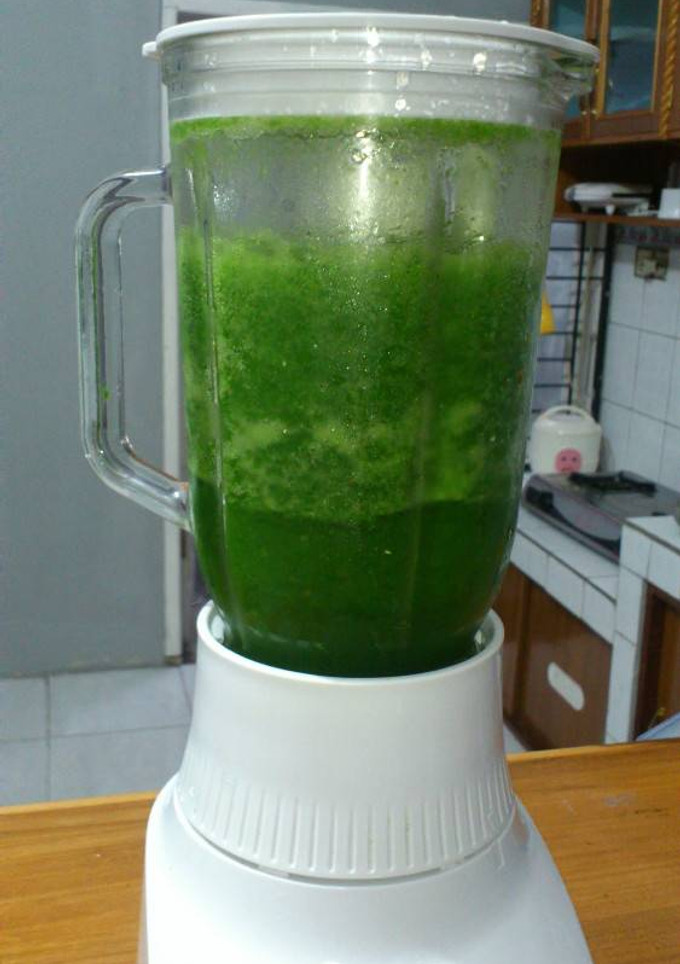 Foto resep Jus Pakchoy dan Apel