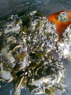 Foto resep Rolade daun singkonG