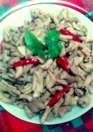 Foto resep Tumis Usus Ayam