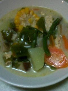 Foto resep Sayur Lodeh Tempe