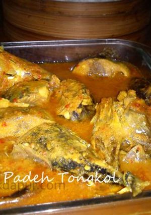 Foto resep Asam Padeh