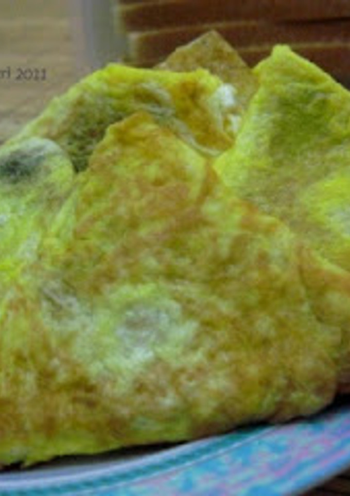 Foto resep roti bakar selimut telur