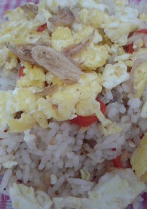 Foto resep Nasi Goreng Ikan Asin