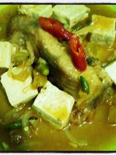 Foto resep KAKAP GORENG TOFU SAUS TOMAT